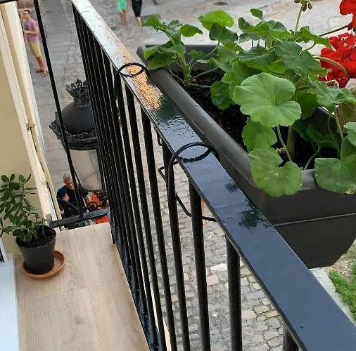 Rooms Laredo 3* Laredo